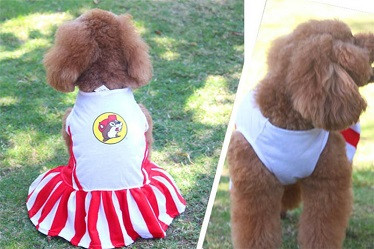 Quality pet shirt for summer/pet skirt clothes