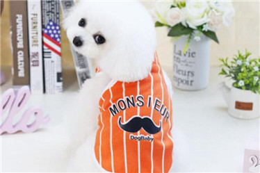 Big beard Summer Pet Vest/Pet Dog Clothes