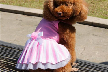 Pink pet princess skirt/ wedding shirt of pet clothes