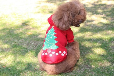 LED pet fleece hoodies /pet Christmas clothes