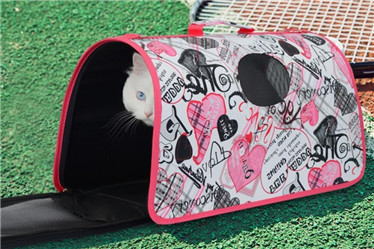 Black dot dog cat carrier/pet carrier products
