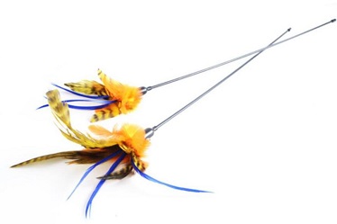 Quality Beautiful feather cat teaser toys