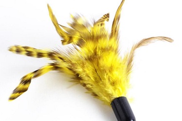 quality cat products/cat teaser toy with 3 replacement head