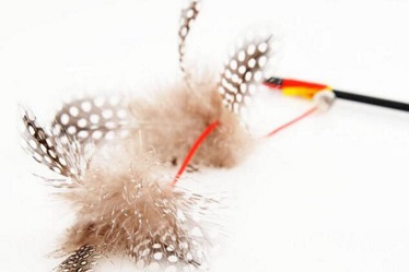 cat teaser toys/cat wand toys pet product