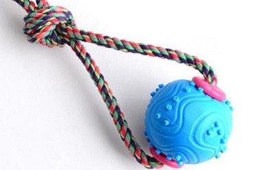 dog rope toys with two balls of TPR/pet toys