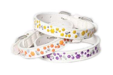 Hot- Classic dog cat collars white