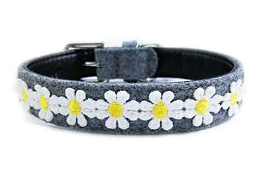 Daisy dog cat collars for small medium pets