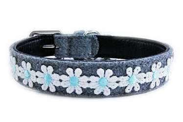Daisy dog cat collars for small medium pets