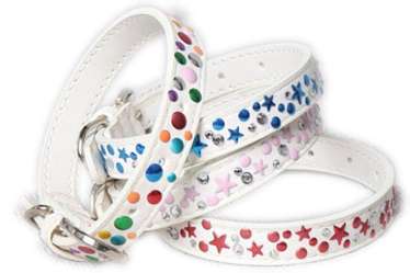 Hot- Classic dog cat collars white