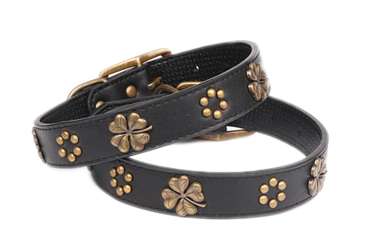 Ginkgo classical dog collars for medium large pets