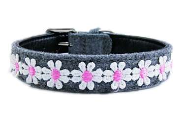 Daisy dog cat collars for small medium pets