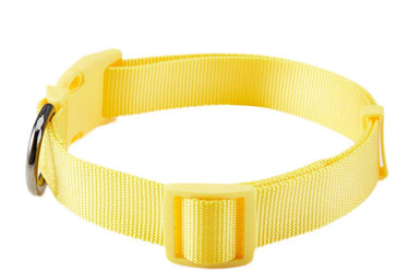 Solid Nylon puppy dog collars,leashes/pet supplies(KC0100)
